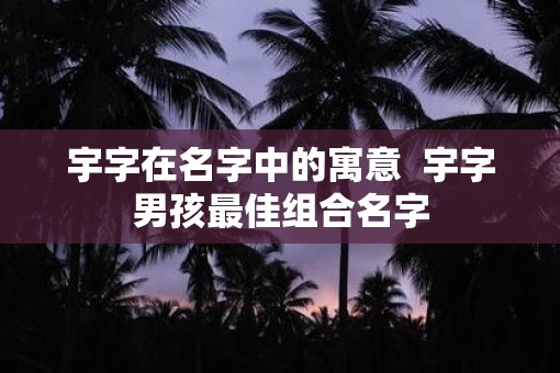 宇字在名字中的寓意  宇字男孩最佳组合名字
