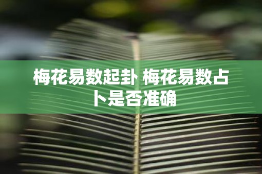 梅花易数起卦 梅花易数占卜是否准确