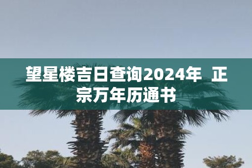 望星楼吉日查询2025年  正宗万年历通书