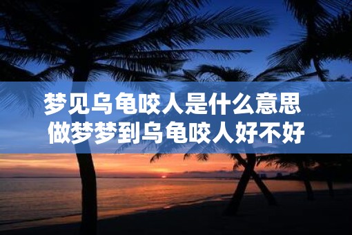 梦见乌龟咬人是什么意思 做梦梦到乌龟咬人好不好