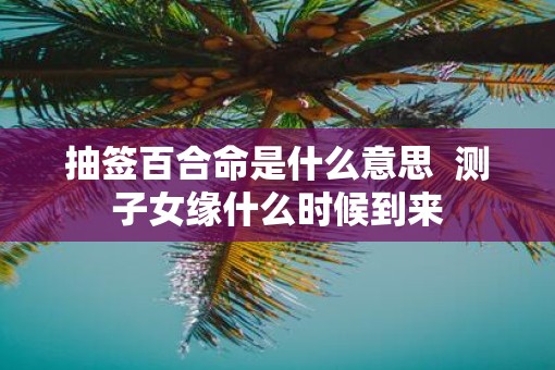 抽签百合命是什么意思  测子女缘什么时候到来