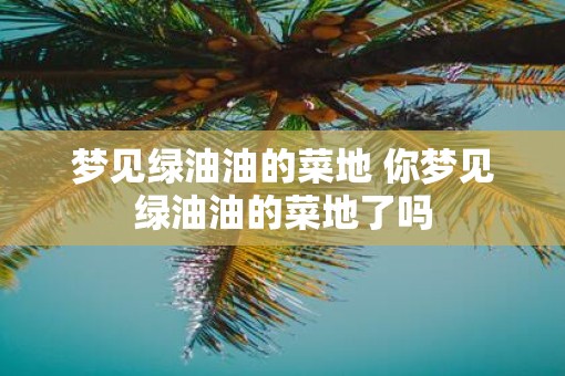 梦见绿油油的菜地 你梦见绿油油的菜地了吗