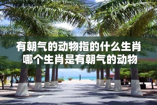 有朝气的动物指的什么生肖 哪个生肖是有朝气的动物