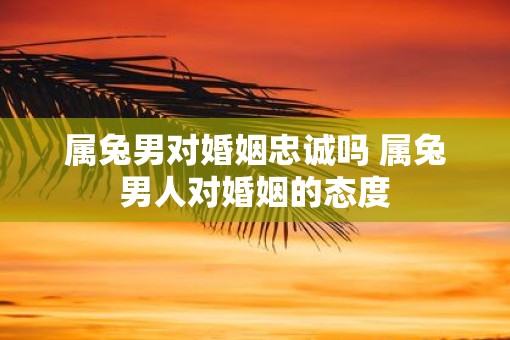 属兔男对婚姻忠诚吗 属兔男人对婚姻的态度