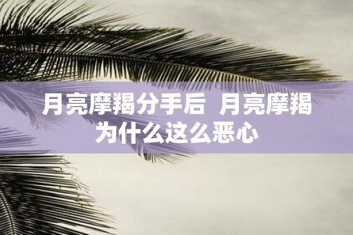 月亮摩羯分手后  月亮摩羯为什么这么恶心