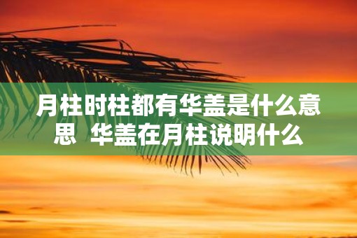 月柱时柱都有华盖是什么意思  华盖在月柱说明什么