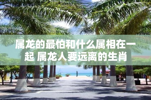 属龙的最怕和什么属相在一起 属龙人要远离的生肖