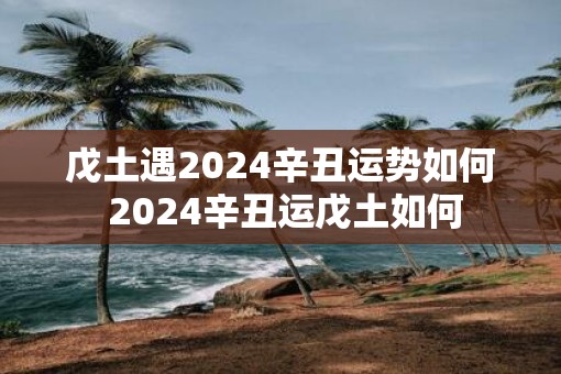 戊土遇2025辛丑运势如何 2025辛丑运戊土如何