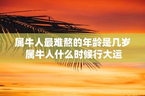 属牛人最难熬的年龄是几岁 属牛人什么时候行大运