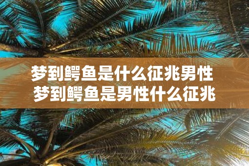梦到鳄鱼是什么征兆男性 梦到鳄鱼是男性什么征兆