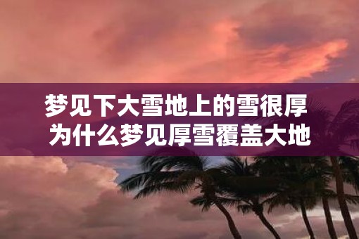 梦见下大雪地上的雪很厚 为什么梦见厚雪覆盖大地