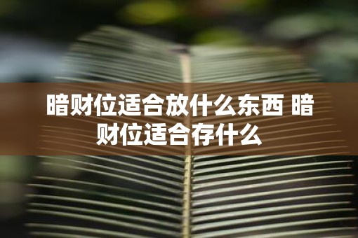 暗财位适合放什么东西 暗财位适合存什么