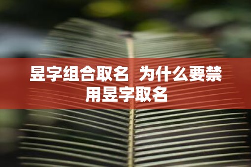 昱字组合取名  为什么要禁用昱字取名