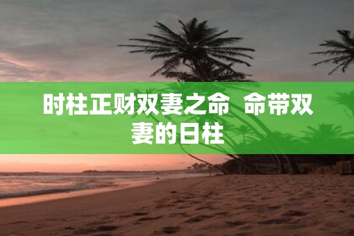 时柱正财双妻之命  命带双妻的日柱