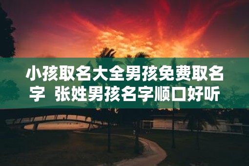 小孩取名大全男孩免费取名字  张姓男孩名字顺口好听
