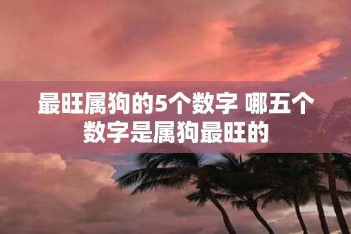 最旺属狗的5个数字 哪五个数字是属狗最旺的