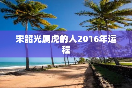 宋韶光属虎的人2016年运程