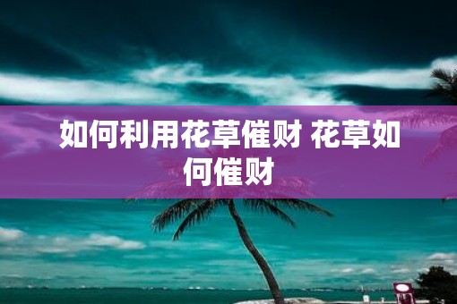 如何利用花草催财 花草如何催财