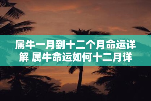 属牛一月到十二个月命运详解 属牛命运如何十二月详解