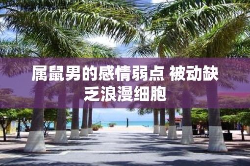 属鼠男的感情弱点 被动缺乏浪漫细胞