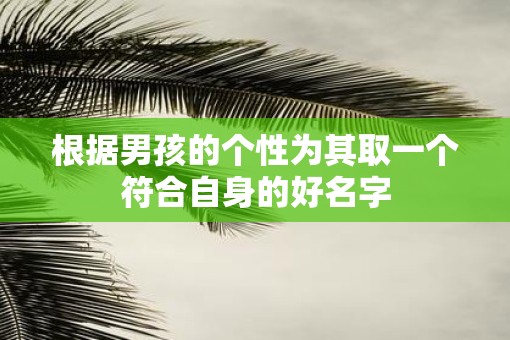 根据男孩的个性为其取一个符合自身的好名字