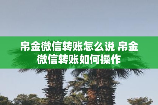 帛金微信转账怎么说 帛金微信转账如何操作