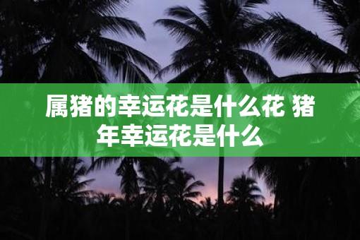 属猪的幸运花是什么花 猪年幸运花是什么