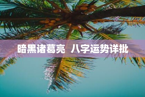 暗黑诸葛亮  八字运势详批
