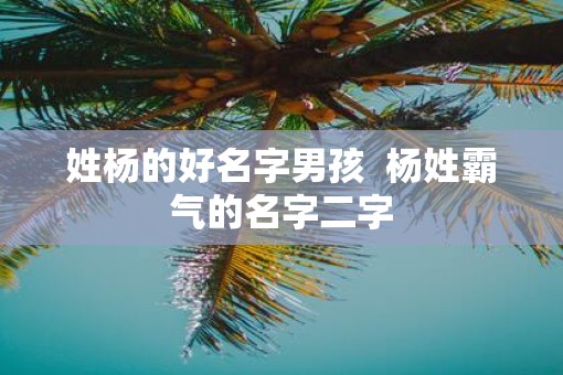 姓杨的好名字男孩  杨姓霸气的名字二字