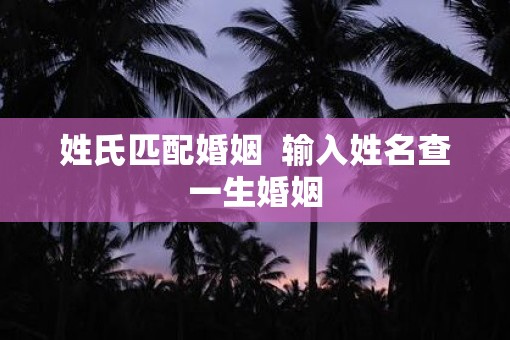 姓氏匹配婚姻  输入姓名查一生婚姻