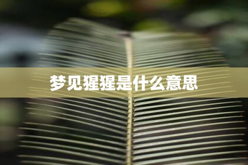 梦见猩猩是什么意思