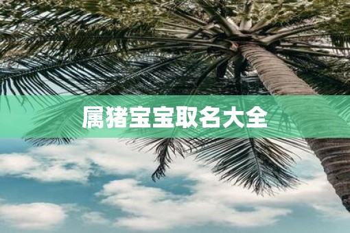 属猪宝宝取名大全 属猪宝宝取名大全