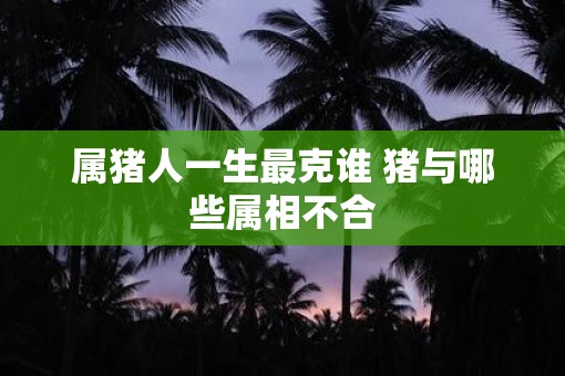 属猪人一生最克谁 猪与哪些属相不合