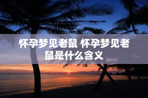 怀孕梦见老鼠 怀孕梦见老鼠是什么含义