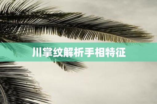 川掌纹解析手相特征