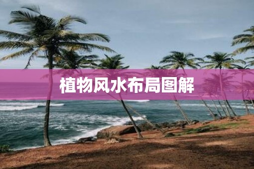 植物风水布局图解
