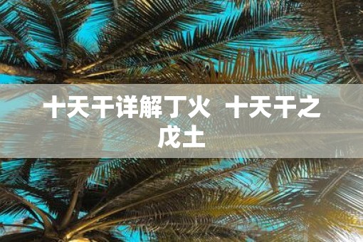 十天干详解丁火  十天干之戊土