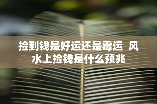 捡到钱是好运还是霉运  风水上捡钱是什么预兆