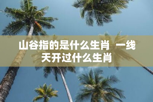 山谷指的是什么生肖  一线天开过什么生肖