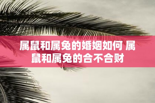 属鼠和属兔的婚姻如何 属鼠和属兔的合不合财