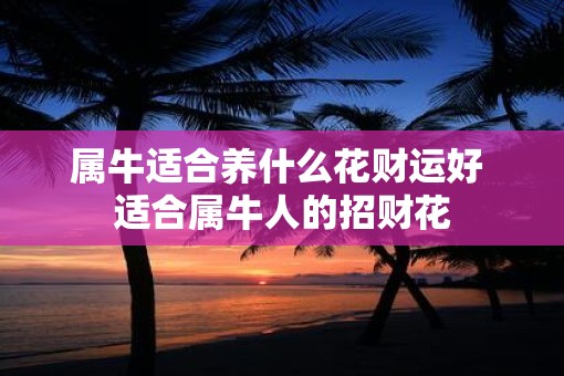 属牛适合养什么花财运好 适合属牛人的招财花