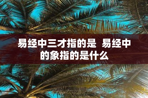 易经中三才指的是  易经中的象指的是什么