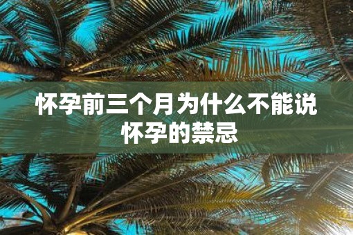 怀孕前三个月为什么不能说 怀孕的禁忌