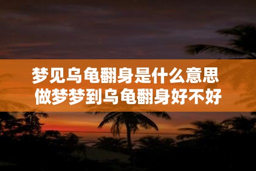 梦见乌龟翻身是什么意思 做梦梦到乌龟翻身好不好