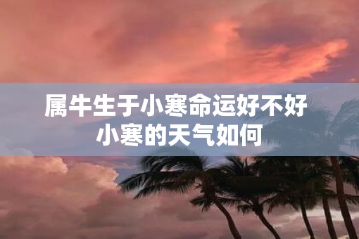 属牛生于小寒命运好不好 小寒的天气如何