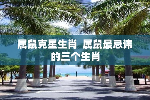 属鼠克星生肖  属鼠最忌讳的三个生肖