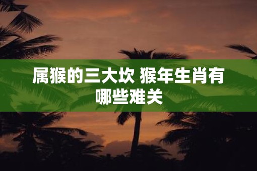 属猴的三大坎 猴年生肖有哪些难关