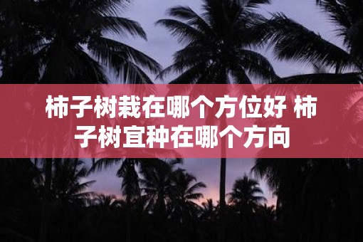 柿子树栽在哪个方位好 柿子树宜种在哪个方向