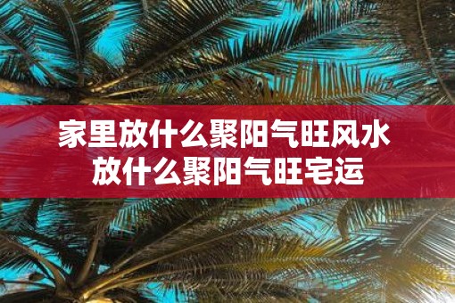 家里放什么聚阳气旺风水 放什么聚阳气旺宅运 家里放什么聚阳气旺风水 放什么聚阳气旺宅运