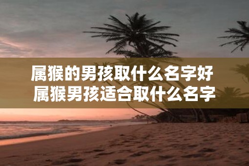 属猴的男孩取什么名字好 属猴男孩适合取什么名字
